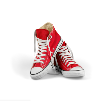 Picture of Canvas Sneaker Low-Cut Lace-Up Casual Shoes – Floral Roshe